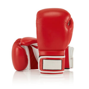 Boxing Sparring Gloves