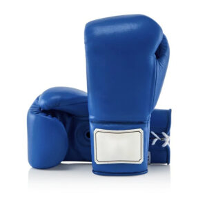 Professional Fight Gloves