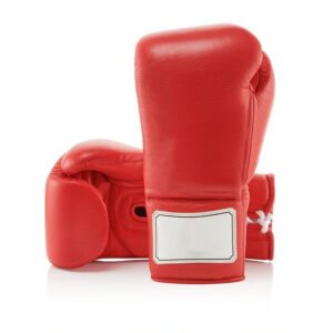 Professional Fight Gloves