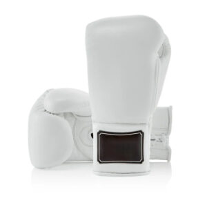 Professional Fight Gloves